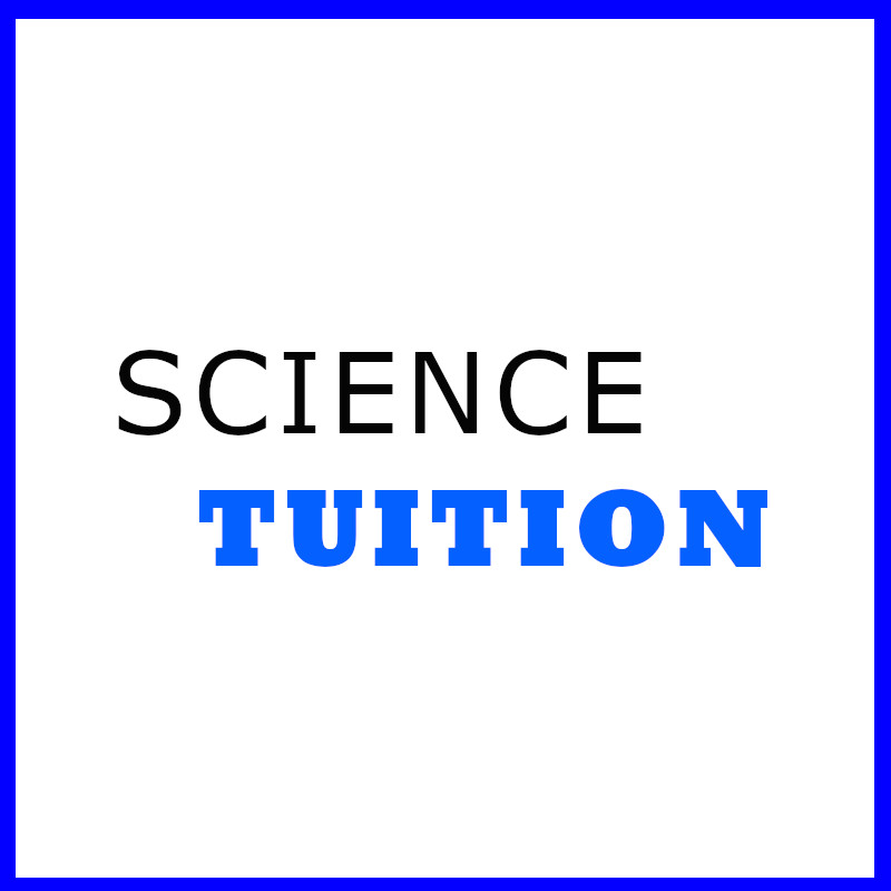 Science Home Tutor in Hougang